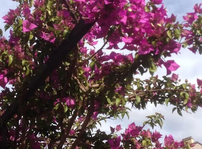 Dream 22 Frühstückspension *